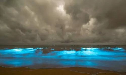 Scientists link Tasmania’s glowing waters to climate change, not fish-farm waste