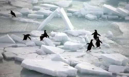 Oceans worldwide record highest heat levels ever in 2025: Study