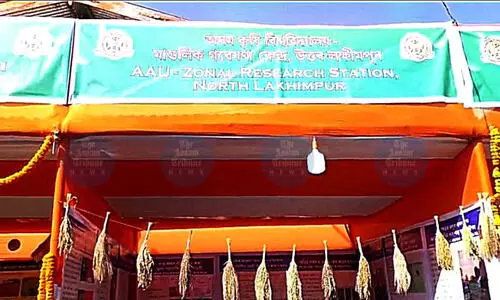 AAU-developed bao rice gains global acceptance, 265 tonnes exported in 2025