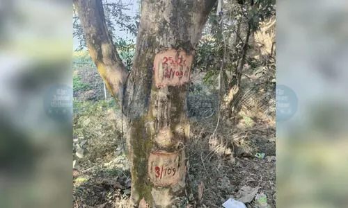 Deepor Beel elevated corridor plan draws eco concern; activist seeks real fixes