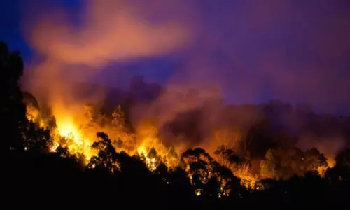Victoria bushfire claims one life; state of disaster declared in Australia