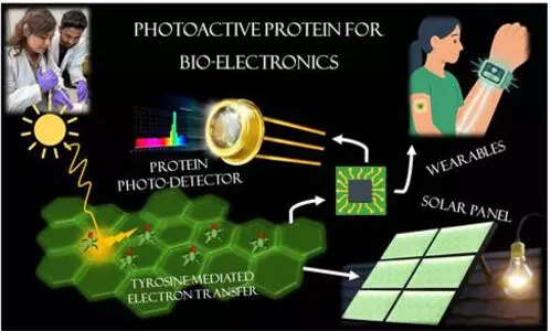 INST scientists discover natural protein that could reshape electronic materials