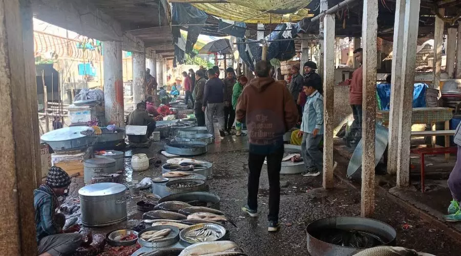 Uzanbazar fish market: Where traditions jostle with new urban plans this Bhogali Uzanbazar fish market: Where traditions jostle with new urban plans this Bhogali