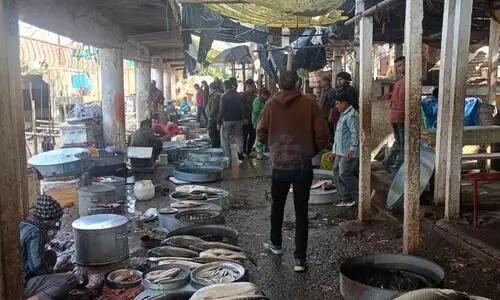 Uzanbazar fish market: Where traditions jostle with new urban plans this Bhogali