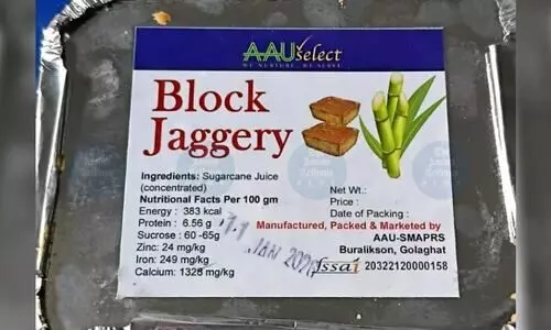 Bhogali Bihu’s sweet link: Gur revives sugarcane farming in Assam