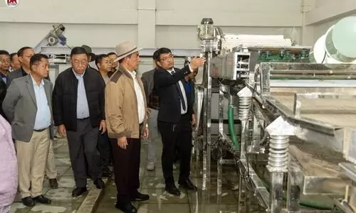 NITI Aayog names Mizoram ‘Ginger Capital of India’, CM hails farmers