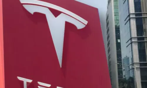 Tesla sells 225 electric vehicles in India during the calendar year 2025