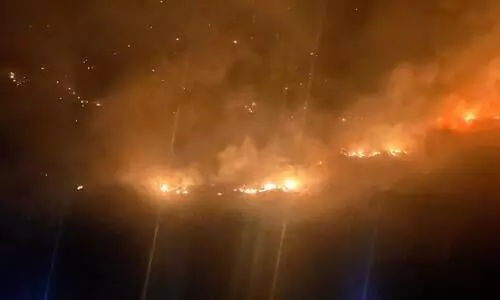 Major wildfire near Indo-China border in Sikkim contained by Army, locals