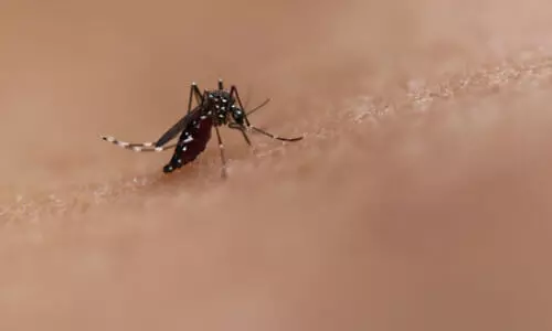 Chikungunya cases rise in southern TN; government issues alert
