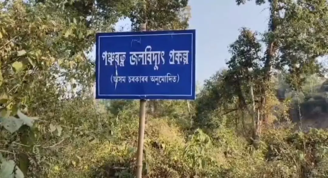 Forest land grab claims spark fresh Assam–Nagaland border tension in Mariani