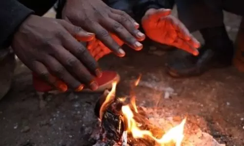 Home firewood burning in winter worsens air pollution, study finds