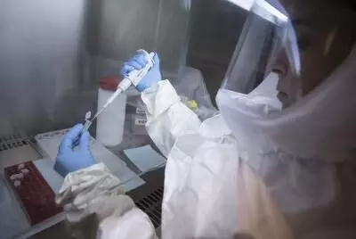 Key Ebola virus mutation identified by Chinese scientists Key Ebola virus mutation identified by Chinese scientists