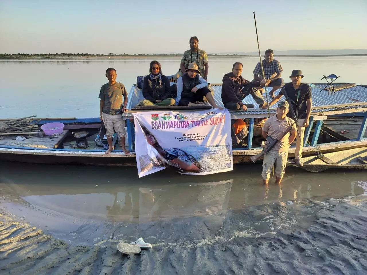 Kaziranga survey records 945 freshwater turtles, including rare black softshell