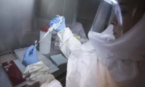 Key Ebola virus mutation identified by Chinese scientists