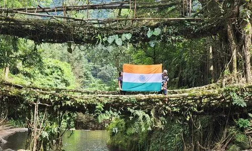 India pitches Meghalaya’s living root bridges to UNESCO’s World Heritage list