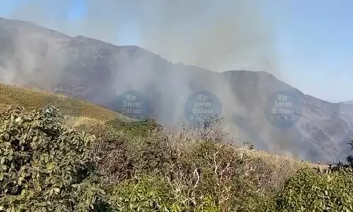 Dzukou Valley wildfire races towards Manipur’s highest peak Mt Esii; NDRF deployed