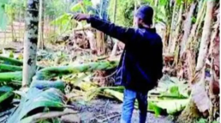 Wild elephant rampage hits Manikpur village near Guwahati, families escape narrowly