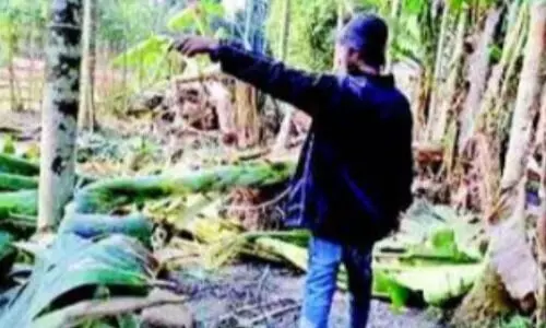 Wild elephant rampage hits Manikpur village near Guwahati, families escape narrowly