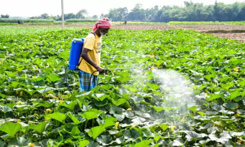 Centre intensifies drive to curb fertiliser diversion, misuse during crop season