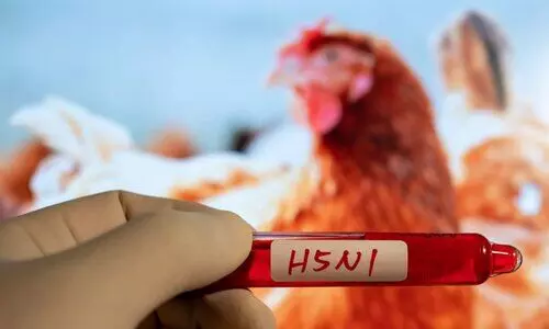 Avian flu confirmed in Bihar’s Darbhanga, high alert issued