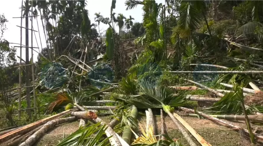 Hailakandi eviction drive enters Day 2, local MLA alleges selective targeting