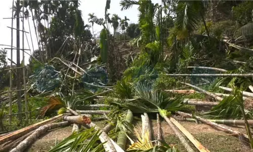 Hailakandi eviction drive enters Day 2, local MLA alleges selective targeting