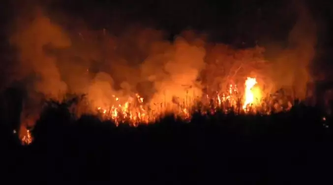 Wildfire near Jorhat’s Gibbon Sanctuary partially contained, response criticised