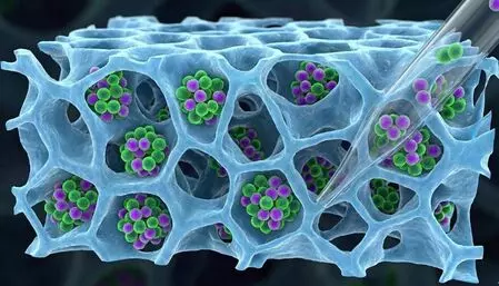 IIT Bombay team develops method to retrieve T-cells for cancer therapy