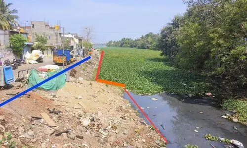 Sewage discharge pollutes Velachery lake; residents allege official apathy