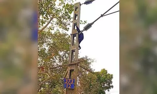 Demand to shift 1.65-km rail stretch in Hoolongapar to protect endangered ape