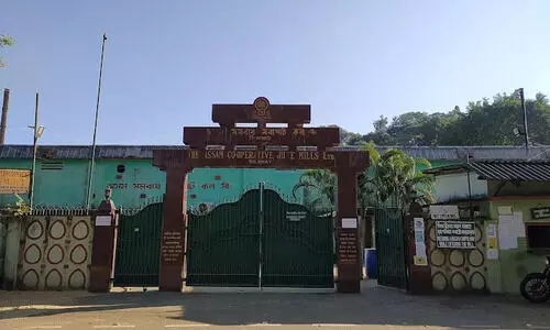 Silghat jute mill crisis deepens; experts allege mismanagement behind shutdown