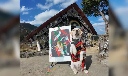 Paws, paint & purpose: A Labradors artful journey across Northeast