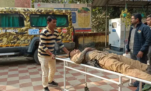 Rhino attack kills home guard, injures another in Kazirangas Kohora range