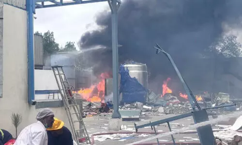 Seven workers die in Rajasthan chemical factory fire