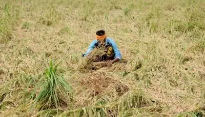 Agri residues can yield 18,000 MW power in India