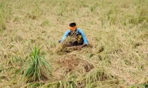 Agri residues can yield 18,000 MW power in India