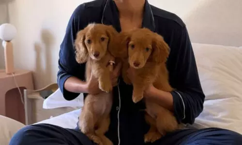 Ananya Panday shares glimpse of pets Honey & Thumper