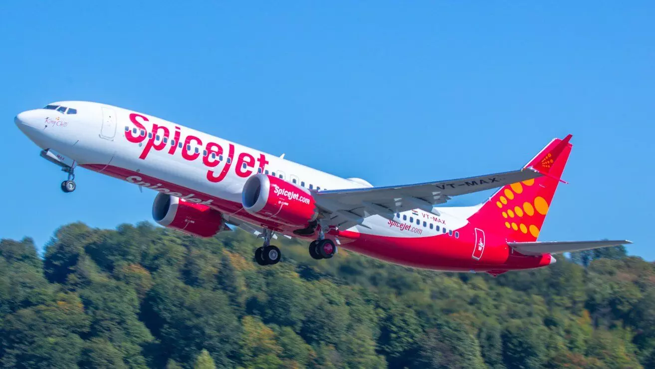 SpiceJet flight to Leh makes safe landing in Delhi over technical issue