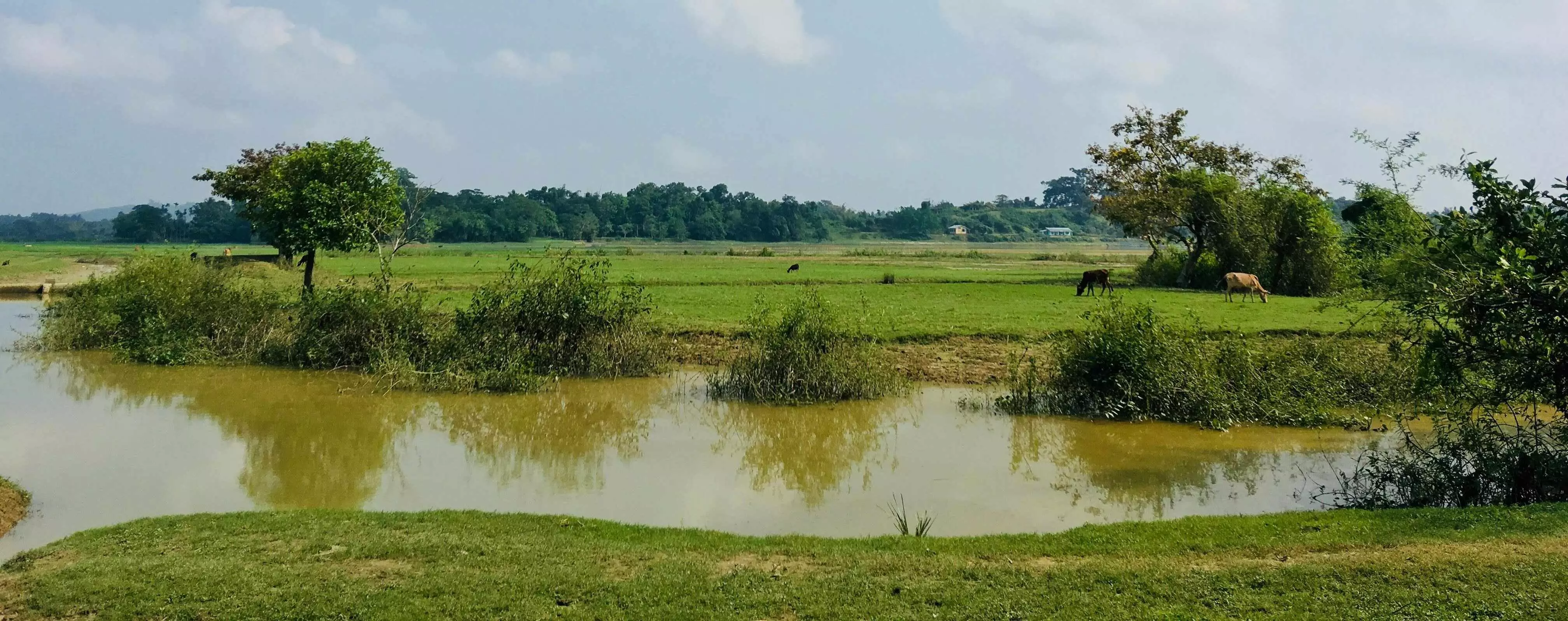 Less than 10% cropped land in Assam gets irrigation despite 12.6 lakh hectare target