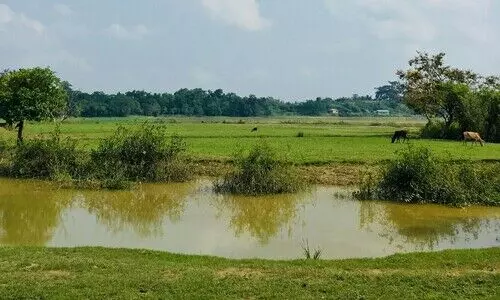 Less than 10% cropped land in Assam gets irrigation despite 12.6L hectare target