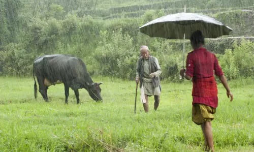 Assam faces 70% rainfall deficit since Nov, 99% since Jan; crops at risk