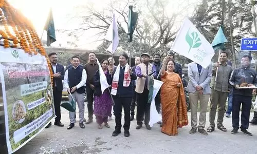 ‘Brand Assam goes global’: CM hails GI-tagged Karbi ginger export to London