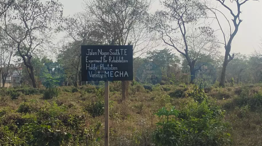 Rs 120 Cr healthcare projects planned on Dibrugarh’s Jalannagar Tea Estate