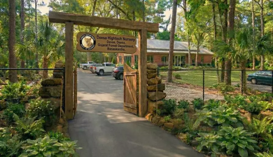 Gujarat launches hi-tech nursery to boost afforestation drive