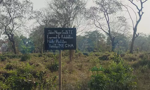 Rs 120 Cr healthcare projects planned on Dibrugarh’s Jalannagar Tea Estate