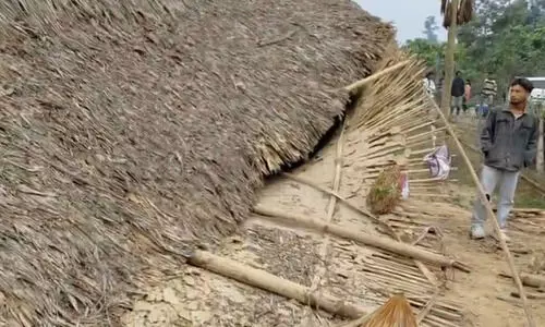 Two killed in elephant attack inside house at Brahmajan tea estate in Tinsukia