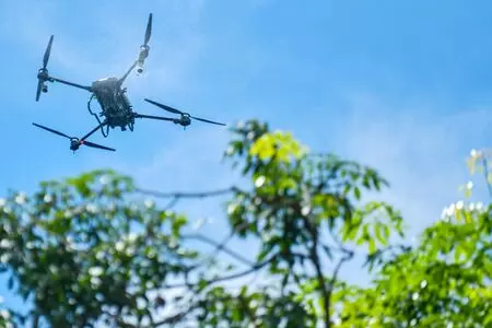 India’s $250 mn credit helps raise farm yields in Kenya: Report