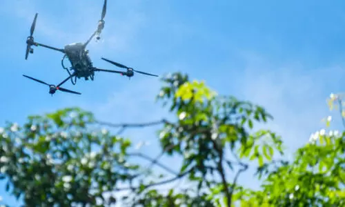 India’s $250 mn credit helps raise farm yields in Kenya: Report