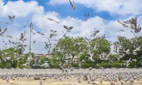 Delhi sees cleaner air after rain, AQI ‘satisfactory’ range