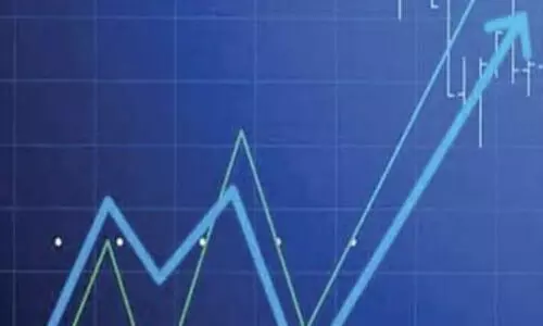 Midcaps lead yearly charts as Nifty Next 50 tops February